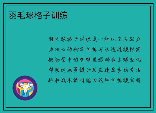 羽毛球格子训练